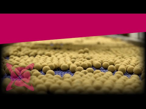 CC Moore Live System Shelf Life Boilies