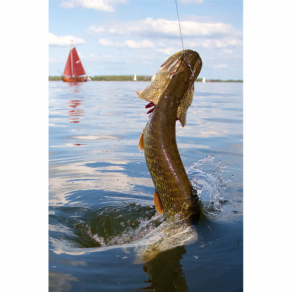 Savage Gear SGY 1X Treble Hook