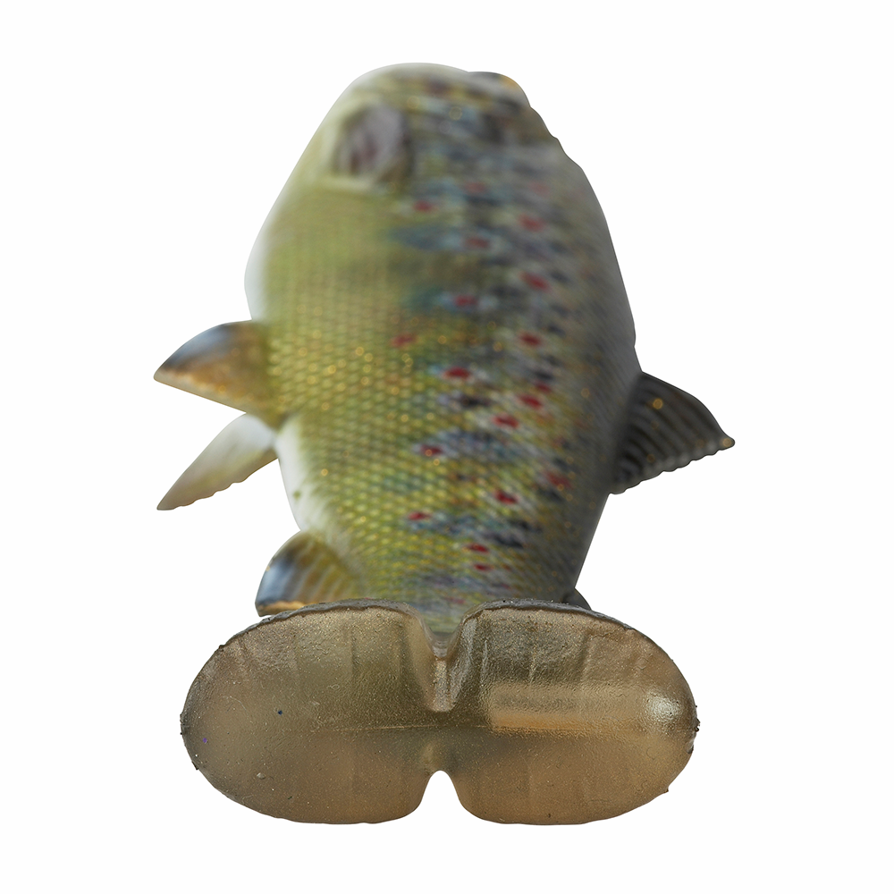4D Line Thru Pulse Tail Trout - BIG PIKE PROMO - Predator Lures