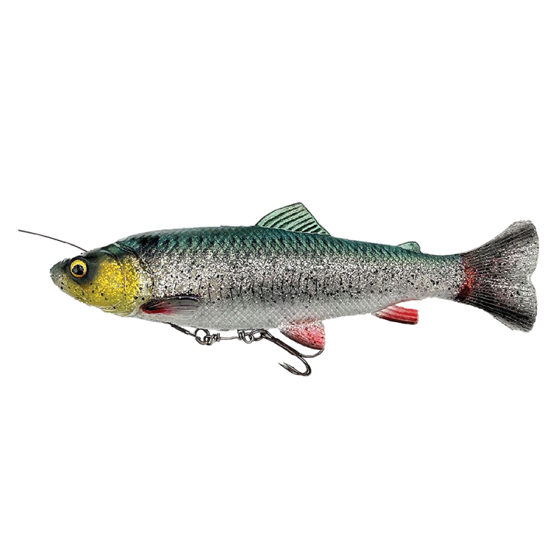 4D Line Thru Pulse Tail Trout - BIG PIKE PROMO - Predator Lures