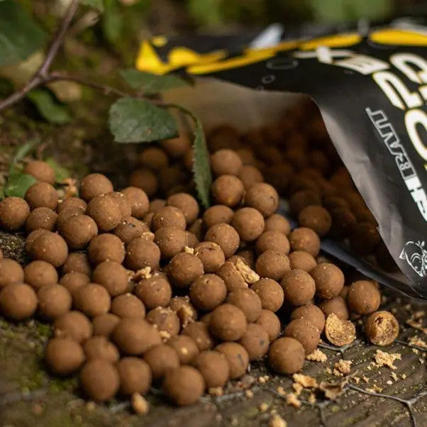 Nash Bait Scopex Squid Boilies - Carp Fishing Bait - Anglers World