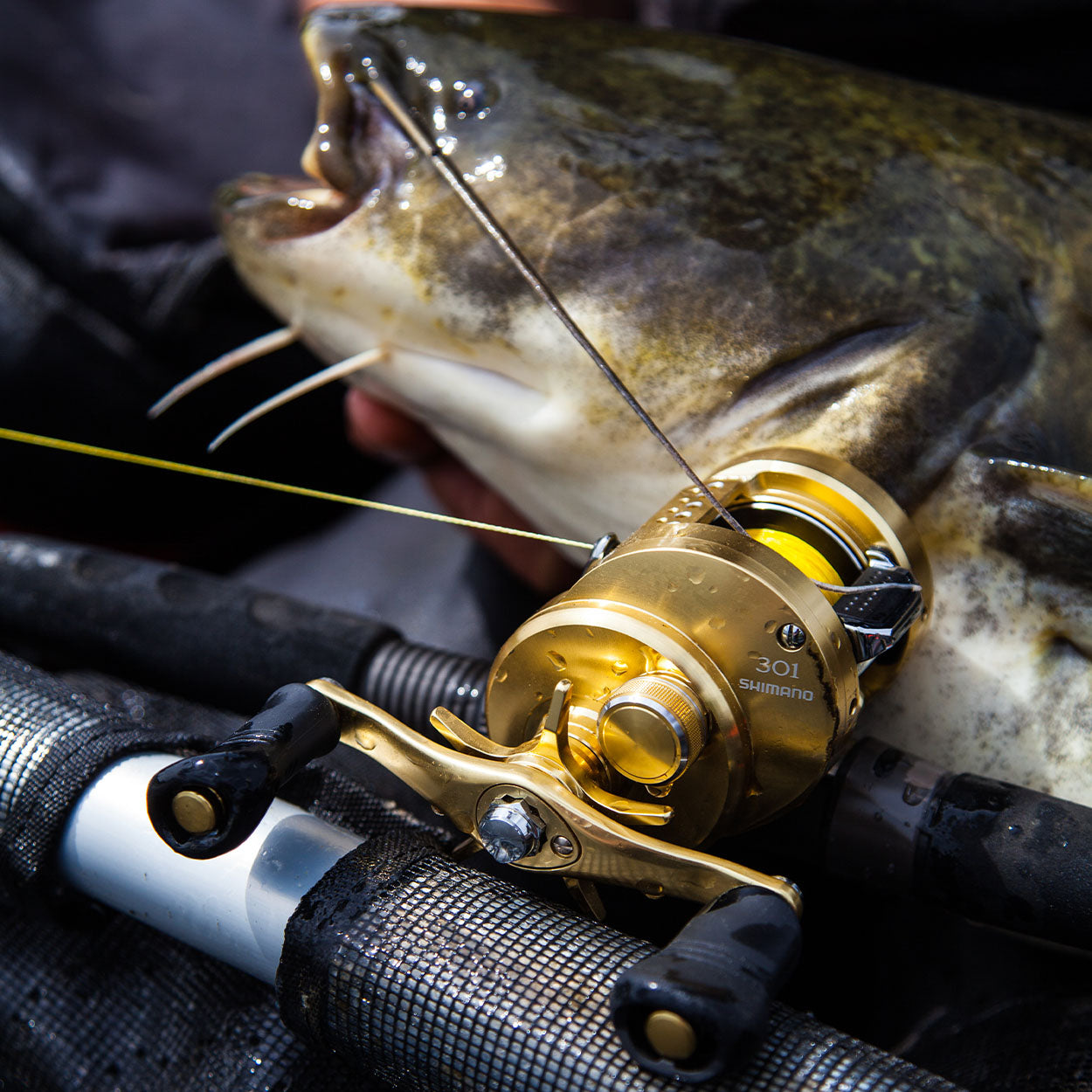 Shimano Calcutta Conquest 301A Left Hand