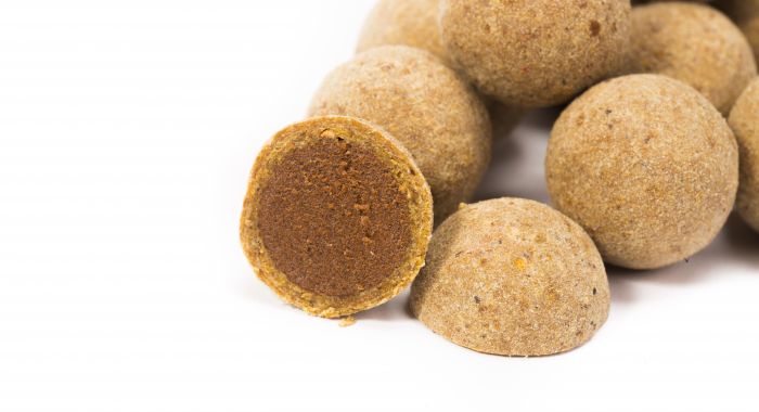Nash Bait Scopex Squid Cultured Hookbaits - Carp Fishing Bait - Anglers World