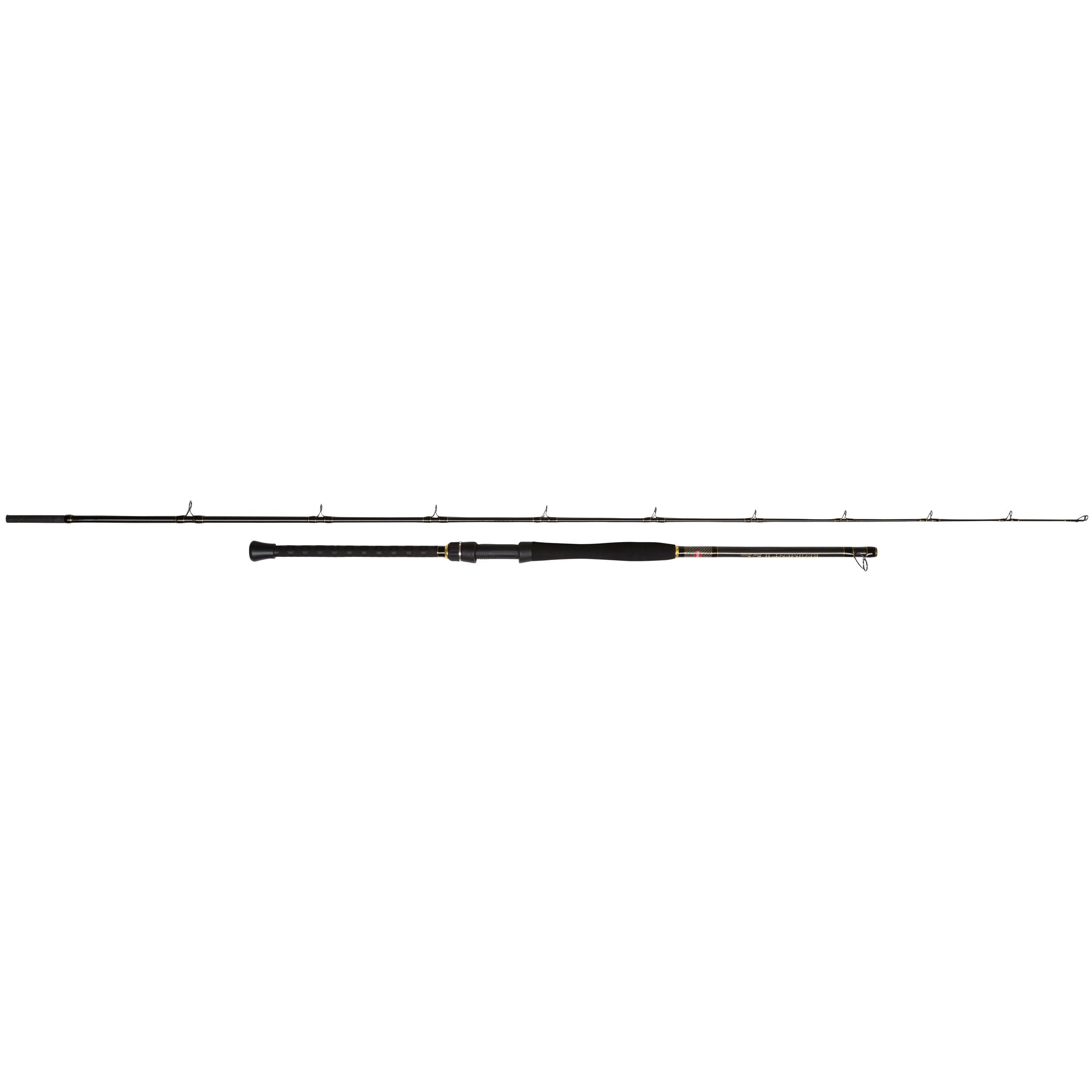 Penn Regiment II Boat Rods