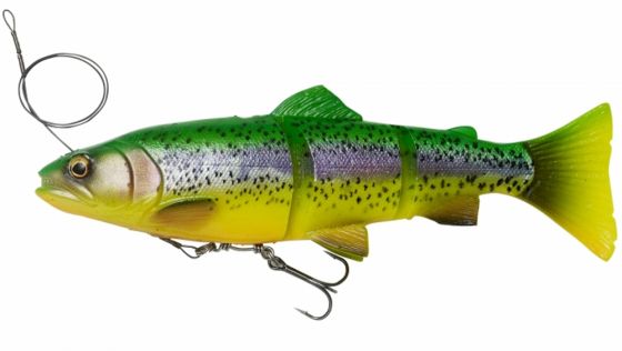 4D Line Thru Trout - BIG PIKE PROMO - Predator Lures