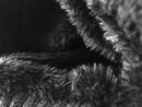 Green beanie HSD with fur