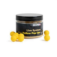 CC Moore Live System Pop Ups - Pop Ups - Anglers World