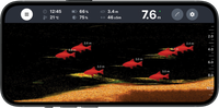 Deeper Smart Sonar CHIRP+ 4 - Castable Sonar - Anglers World