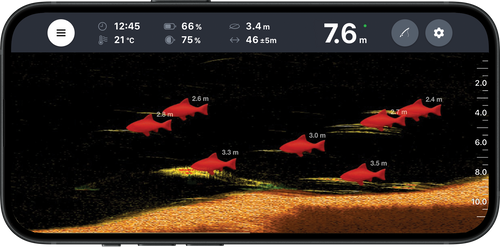 Deeper Smart Sonar CHIRP+ 4 - Castable Sonar - Anglers World
