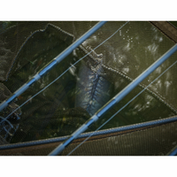 Prologic C3 Fulcrum Ridgid Framed Landing Net