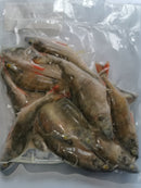 Rebel Pike Perch Deadbait Bulk 500g Pack