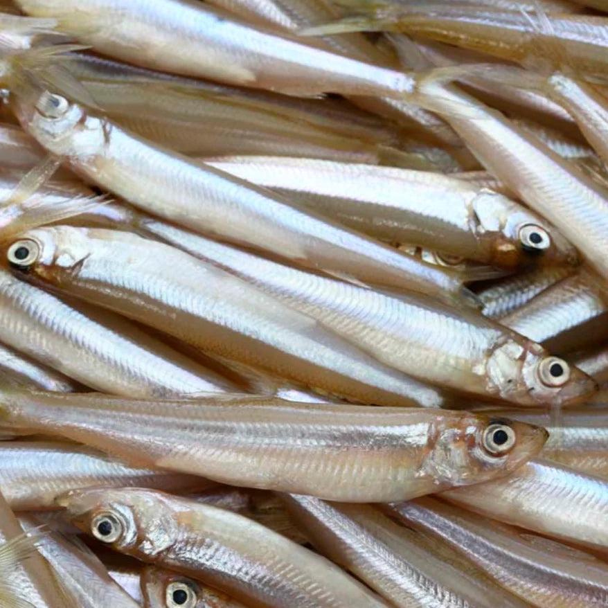 Rebel Pike Smelt Deadbait Bulk 500g & 1kg Pack