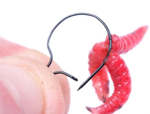 Nash Maggot Clips