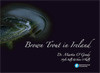 Brown Trout in Ireland Book