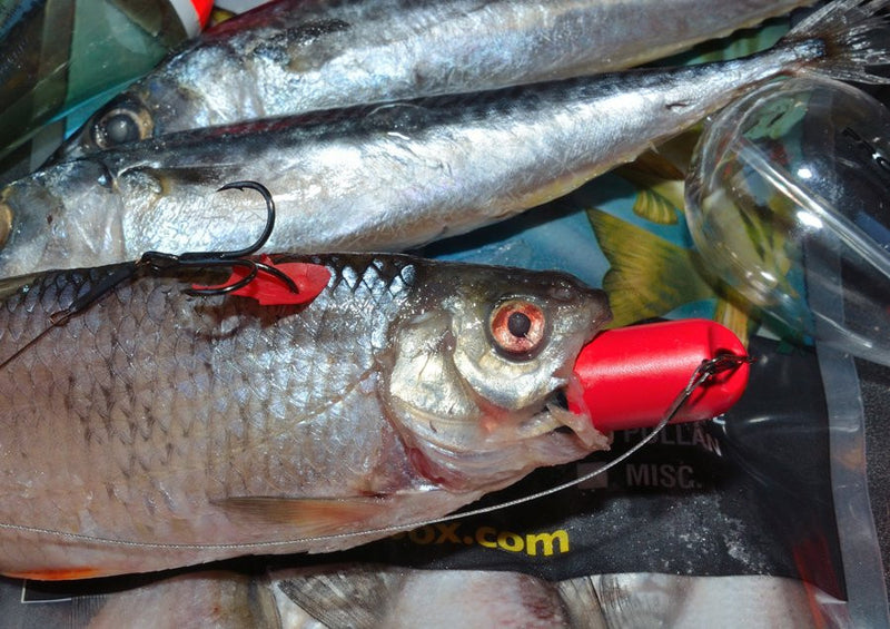 Greys Prowla Bait Flags