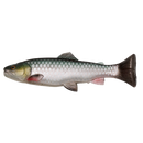 Savage Gear 3D Craft Trout Pulsetail