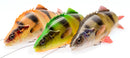 Savage Gear 4D LineThru Perch