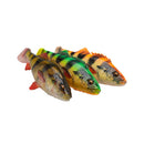 Savage Gear 4D Lures - Predator Fishing Lures - Anglers World