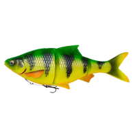 4D Line Thru Roach - BIG PIKE PROMO - Predator Lures