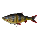 4D Line Thru Roach - BIG PIKE PROMO - Predator Lures
