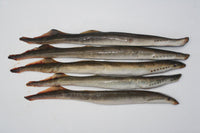Rebel Pike Lamprey Deadbait - Anglers World