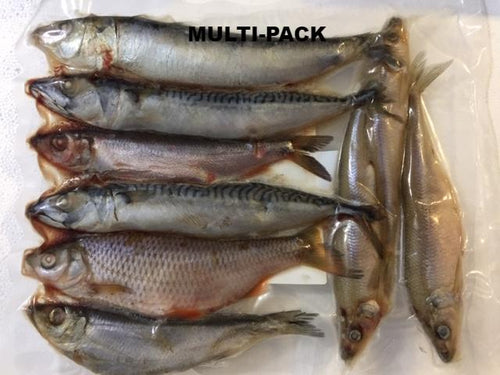 Pike Deadbait