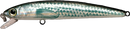 Fishus Real Minnow