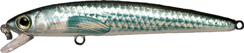 Fishus Real Minnow