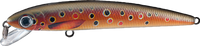 Fishus Minnow