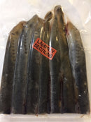 Rebel Pike Lamprey Deadbait - Anglers World