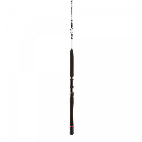 Penn Squadron II Travel Boat Rod