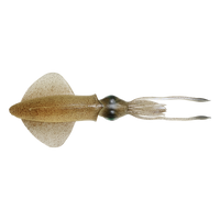 Savage Gear LB Swim Squid