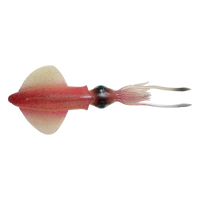 Savage Gear LB Swim Squid