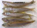 Rebel Pike Smelt Deadbait - Anglers World