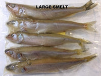 Rebel Pike Smelt Deadbait - Anglers World