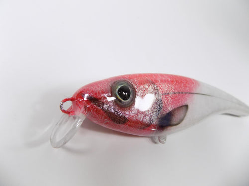Mega Lures Electra L Range - Hard Lures - Anglers World