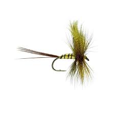 Caledonia Fly Company Erne Special Mayfly - Trout & Salmon Flies - Anglers World