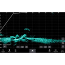 Garmin Panoptix LiveScope Plus System with GLS 10 & LVS34 Transducer