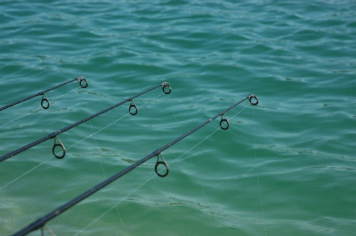Korda Kontour Fluorocarbon Mainline - Fluorocarbon - Anglers World