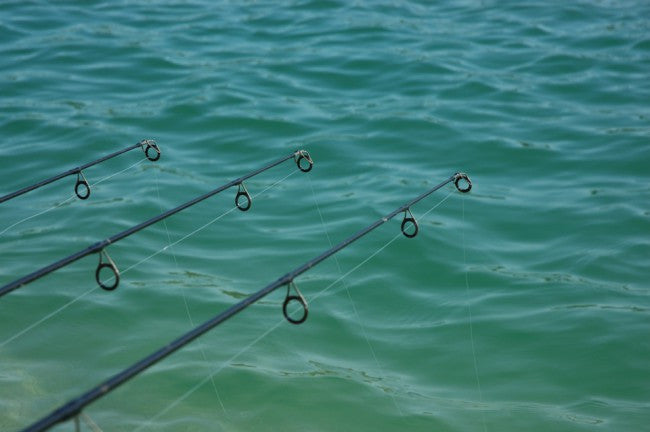 Korda Kontour Fluorocarbon Mainline - Fluorocarbon - Anglers World