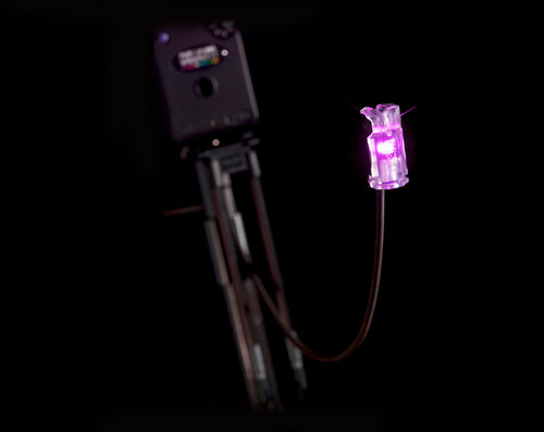 Delkim NiteLite Pro - Illuminated Hanger - Anglers World