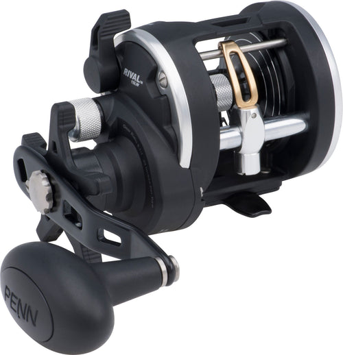 Penn Rival Level Wind Reels - Multiplier Reels - Anglers World