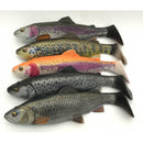 4D Line Thru Rattle Trout - BIG PIKE PROMO