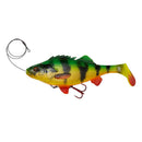 Savage Gear 4D Lures - Predator Fishing Lures - Anglers World